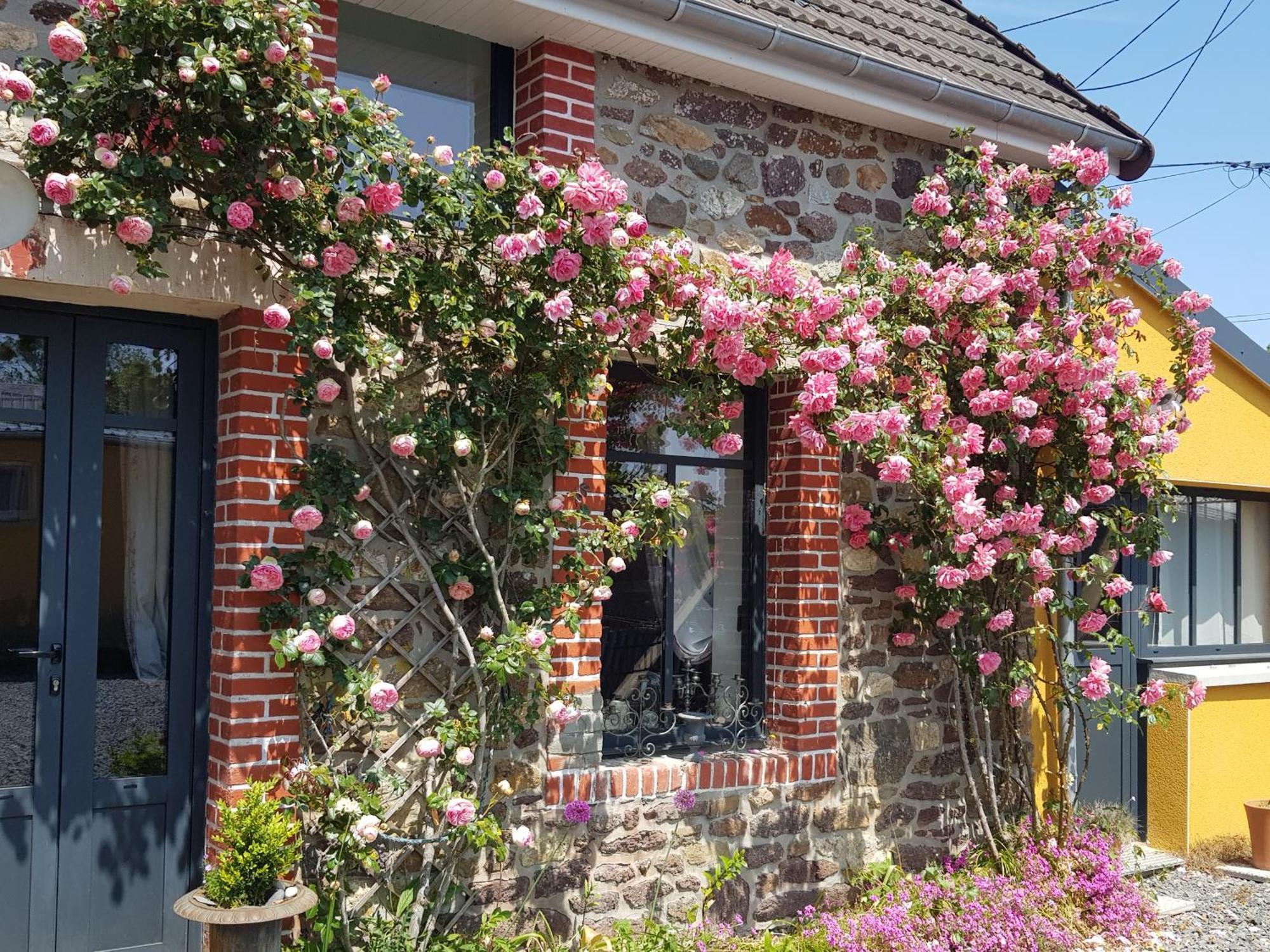 Bed and Breakfast Le Jardin Coudeville Exteriér fotografie