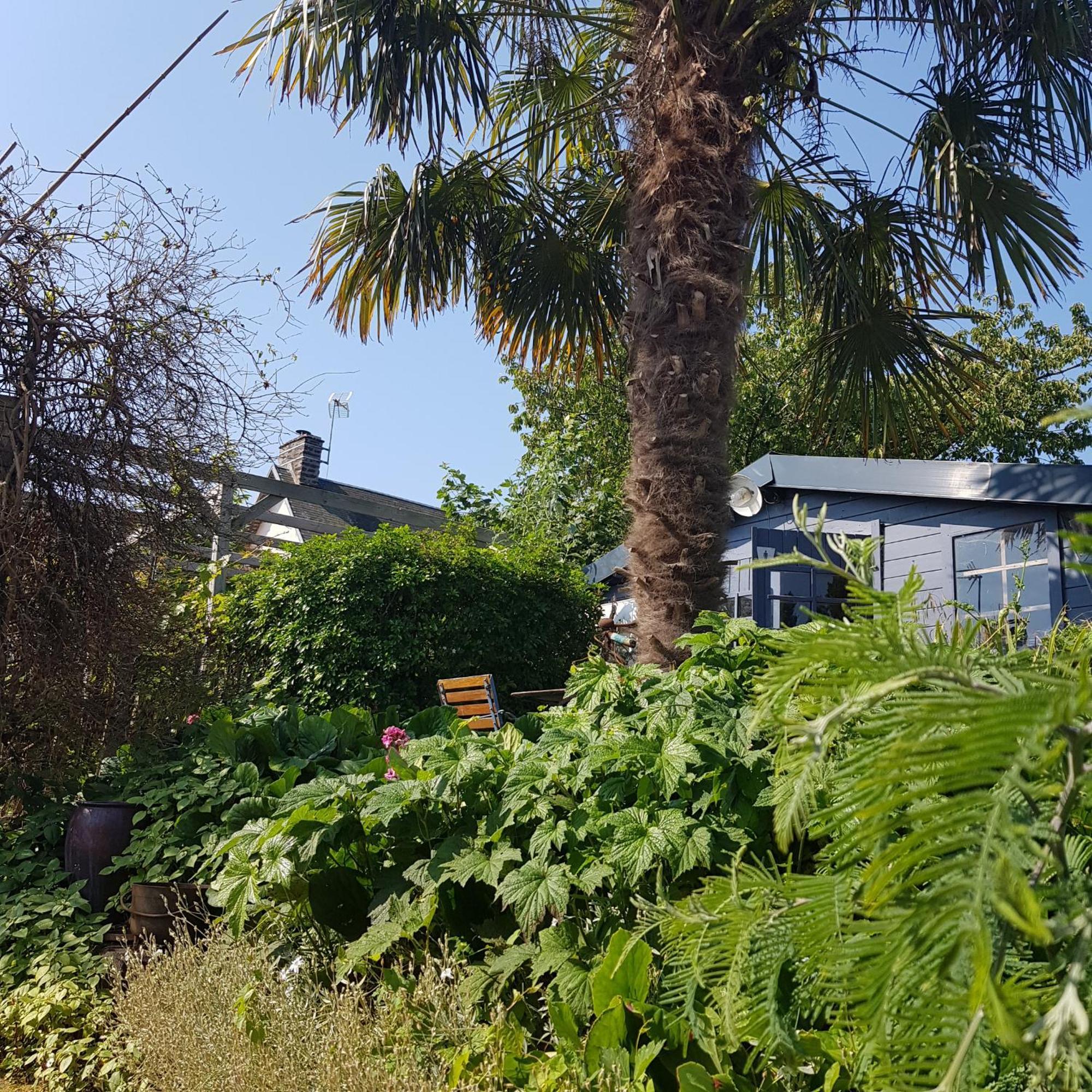 Bed and Breakfast Le Jardin Coudeville Exteriér fotografie