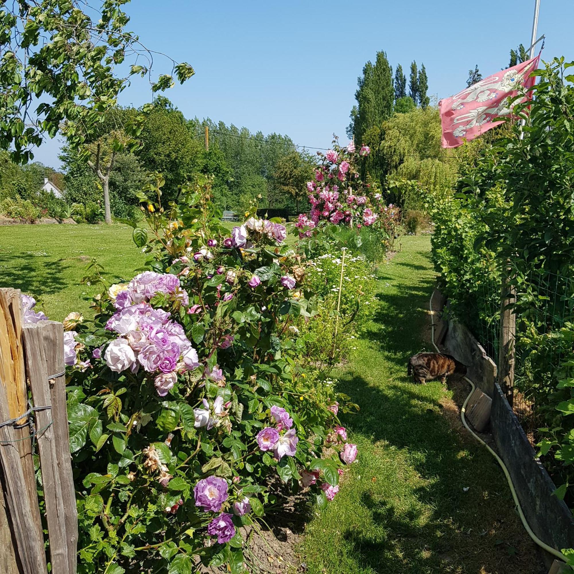 Bed and Breakfast Le Jardin Coudeville Exteriér fotografie